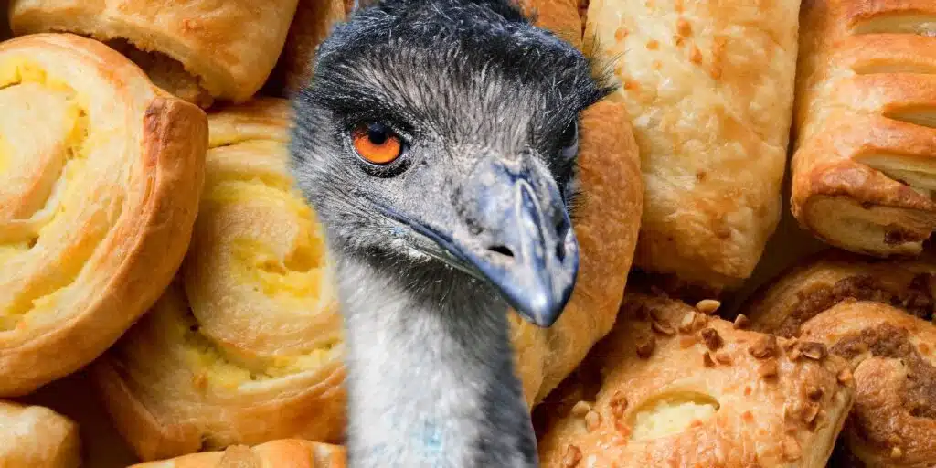 an emu in front of a bunch of pastries